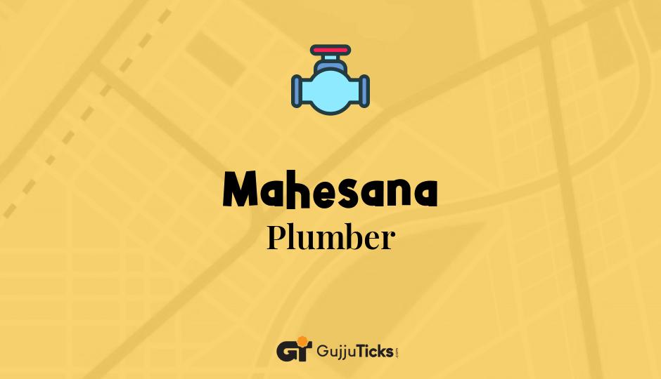 Plumber in Mahesana