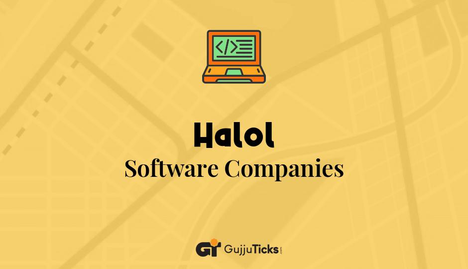Software Companies in Halol