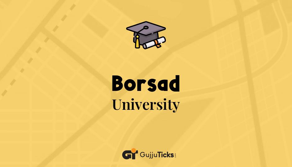 University in Borsad