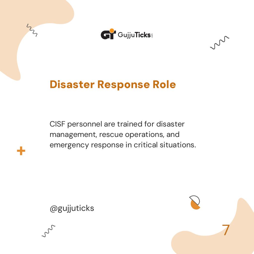 Disaster Response Role