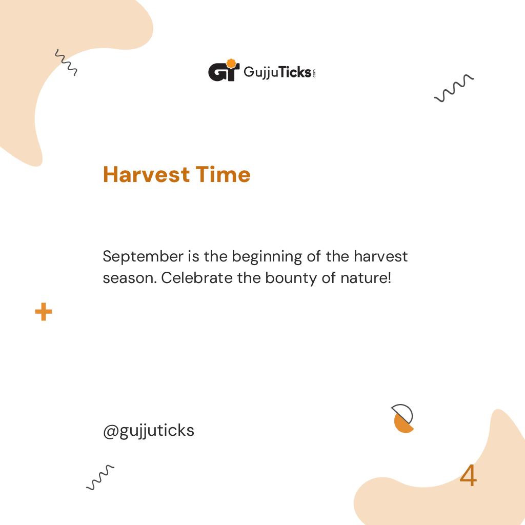 Harvest Time